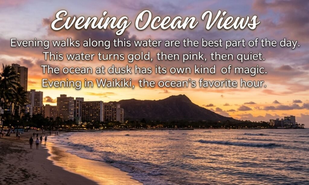 Evening Ocean Views