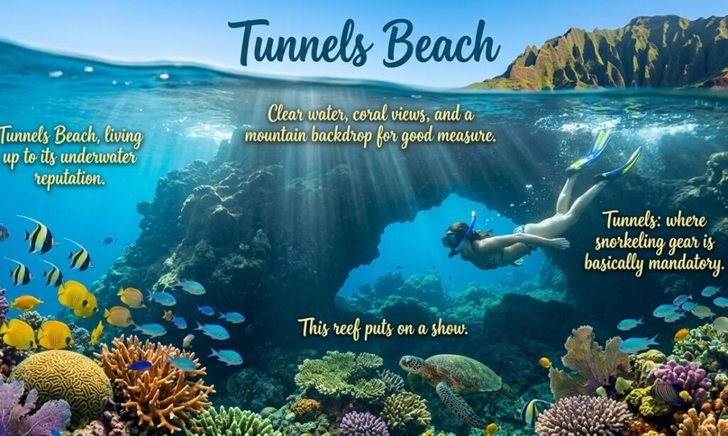 Tunnels Beach Captions