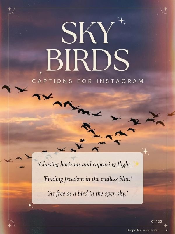Sky Birds Captions for Instagram